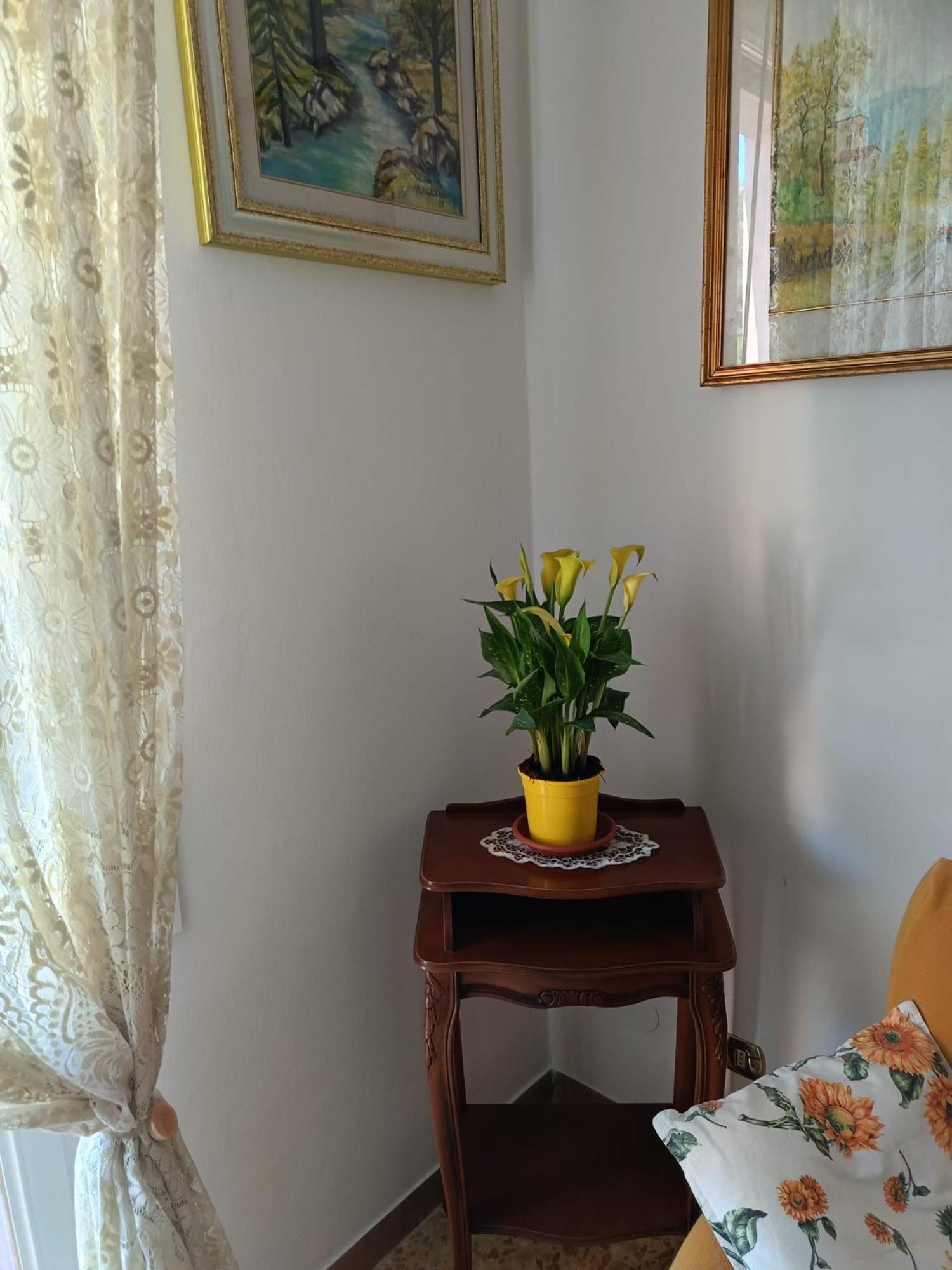 Chez Sylviehouse Apartment มอนเตรอสโซ อัล มาเร ภายนอก รูปภาพ